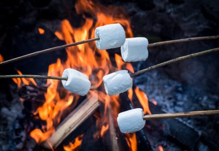 Shartru Wealth marshmallows roasting over a fire representing delayed gratification