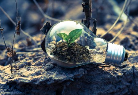 Invest Smarter – Investment Growth Bonds