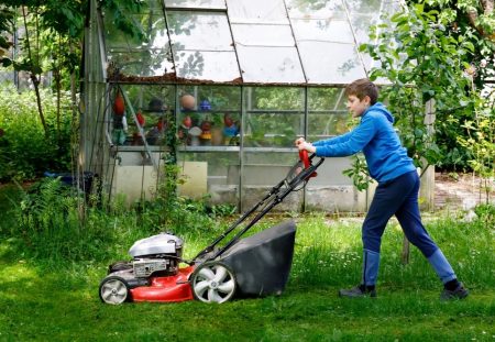 A Shartru Wealth photo shows a child mowing a lawn in front of a greenhouse.