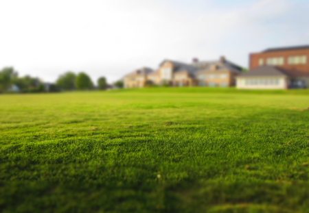 Superannuation and your estate